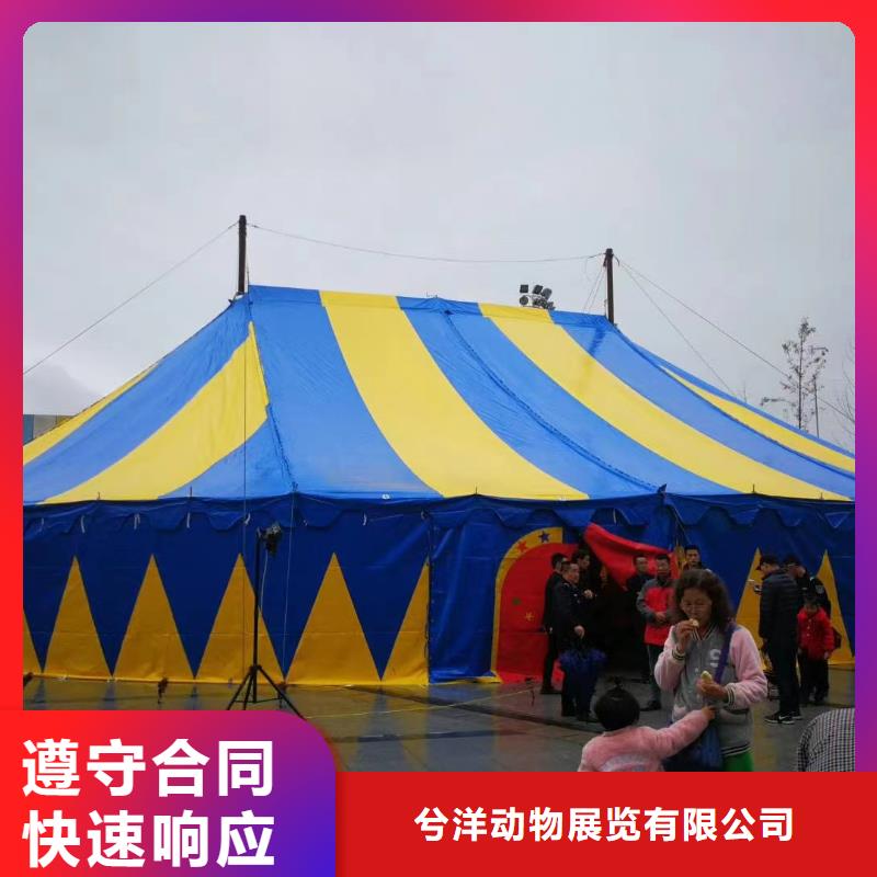 马戏团/羊驼【租赁美人鱼表演】公司