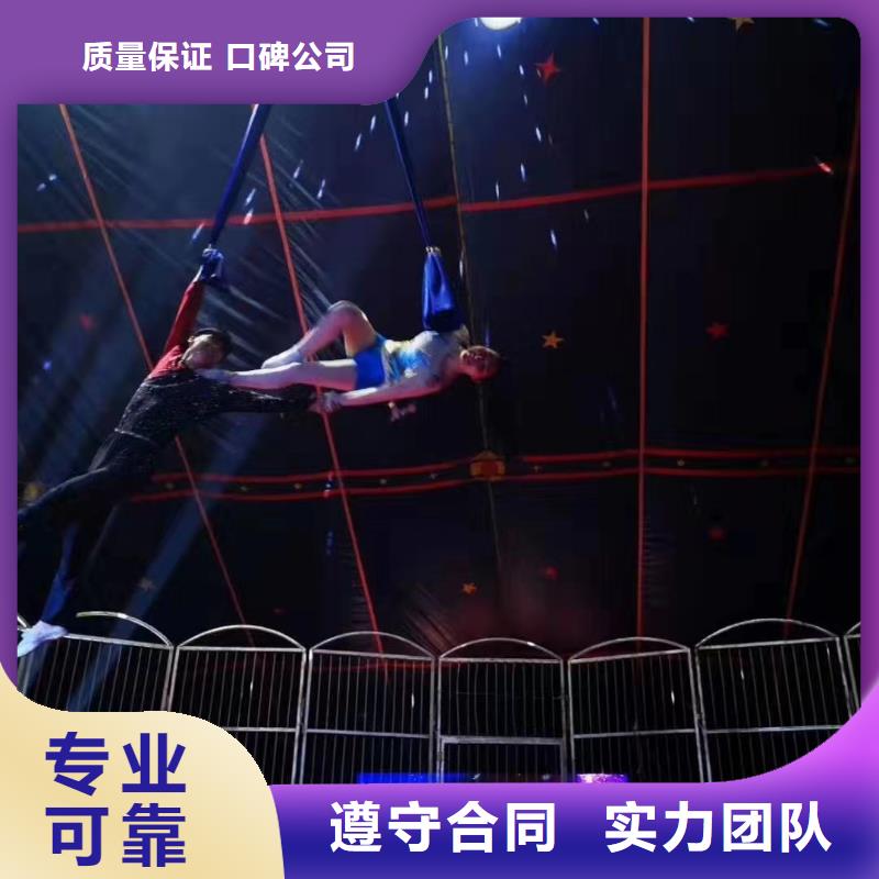 【马戏团/羊驼】景区杂技表演解决方案