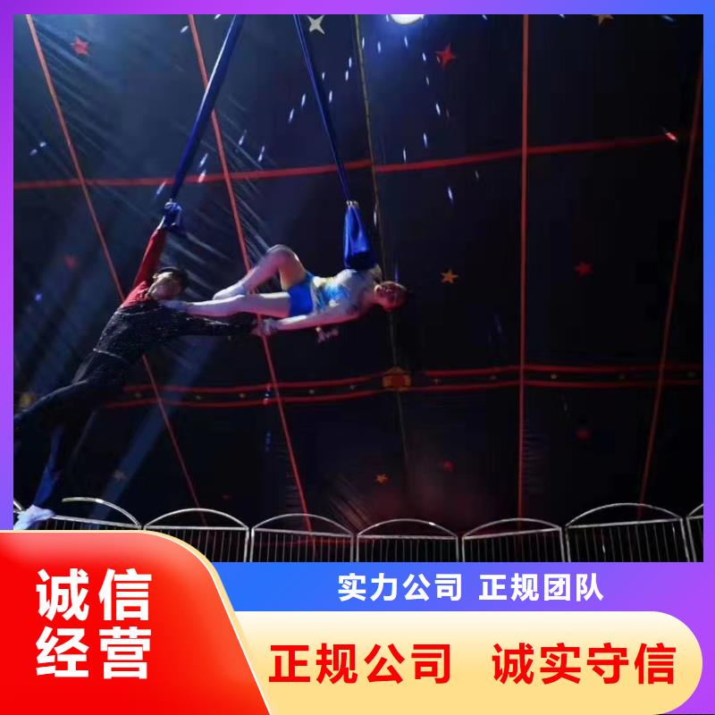 马戏团/羊驼【企鹅演出】信誉保证
