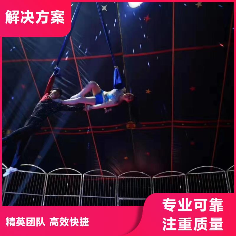 马戏团/羊驼动物表演出租口碑公司