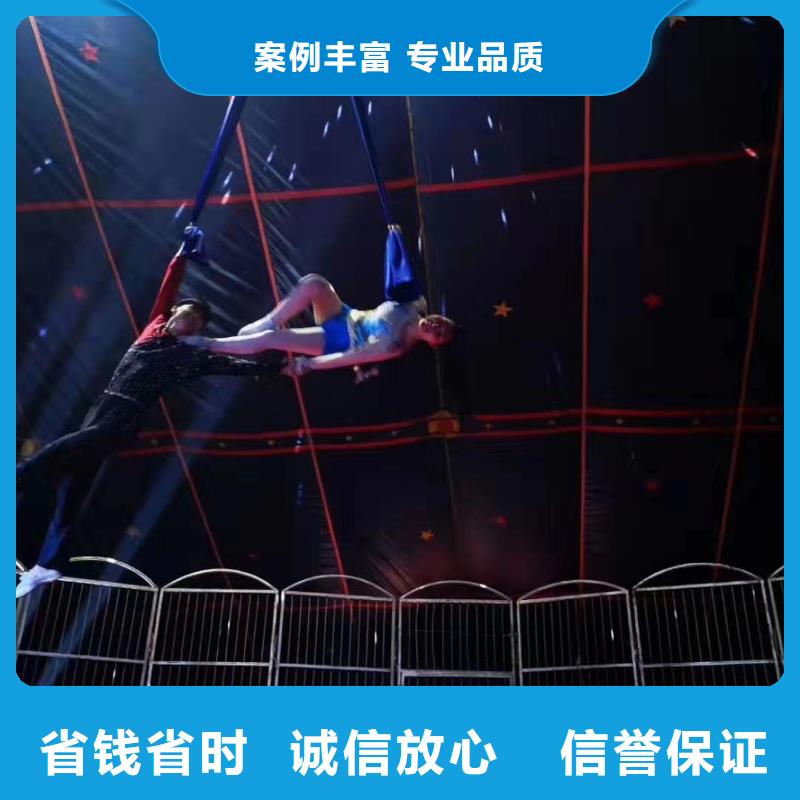 马戏团/羊驼-动物表演出租价格透明