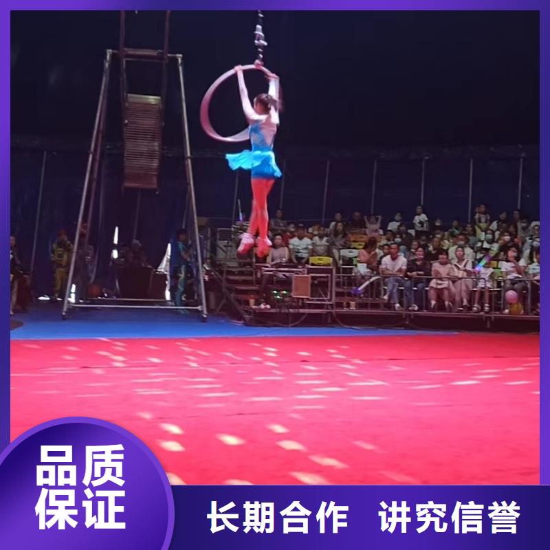 马戏团/羊驼羊驼出租匠心品质