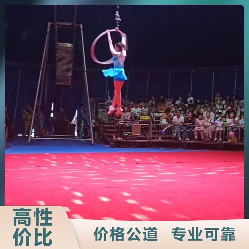 马戏团/羊驼 企鹅租赁值得信赖
