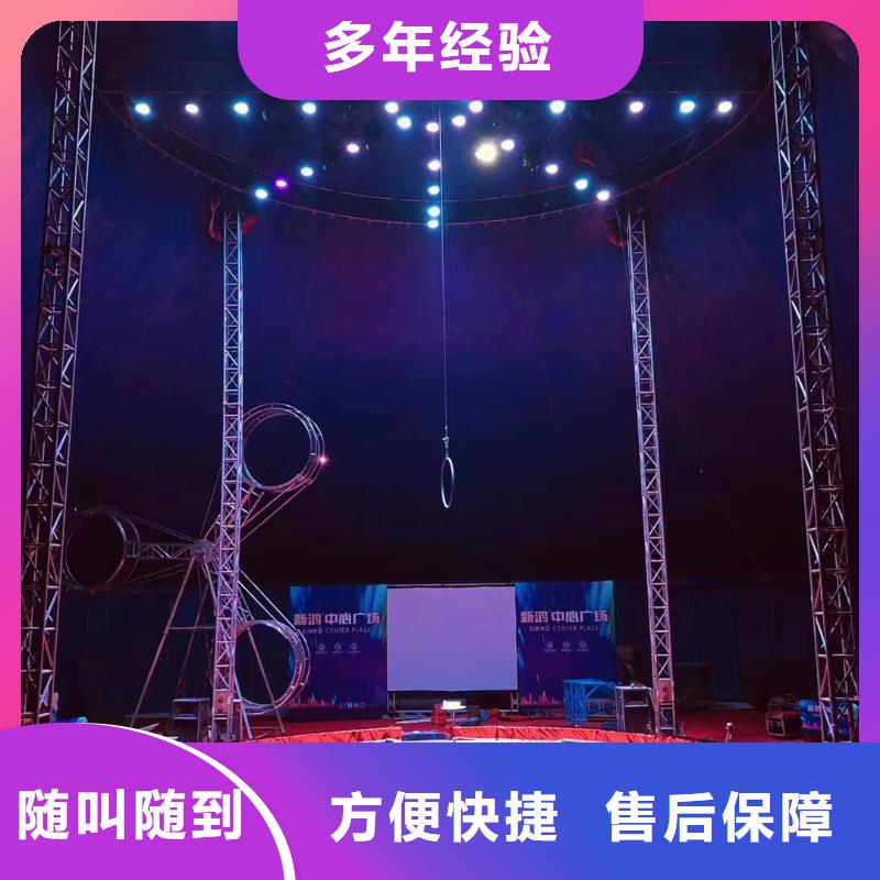马戏团/羊驼表演羊驼租赁多年经验