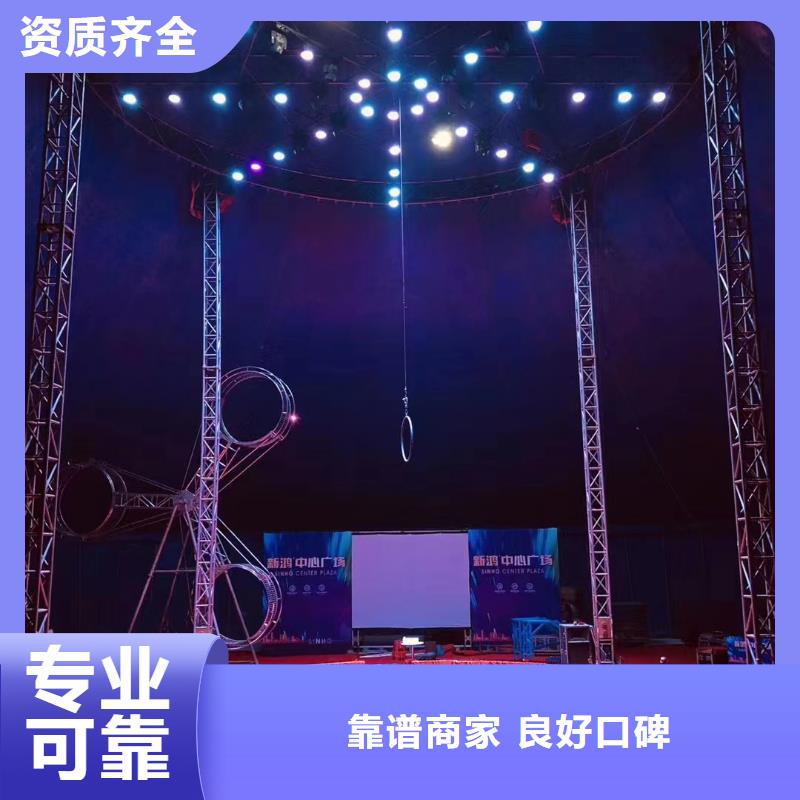 马戏团/羊驼动物表演出租2025公司精心