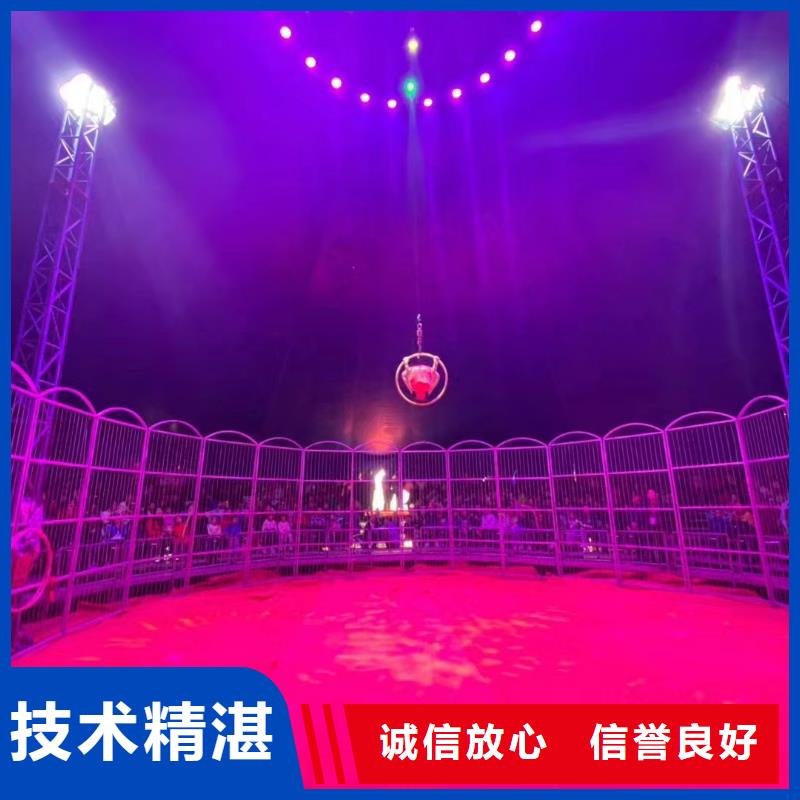 马戏团/羊驼,马戏团表演出租有实力