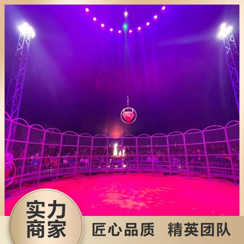 马戏团/羊驼【马戏团表演出租租赁】价格低于同行