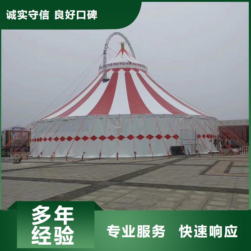 马戏团/羊驼 环球飞车表演出租一对一服务