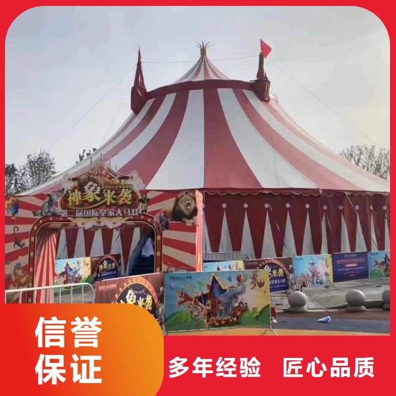 马戏团/羊驼,马戏表演售后保障