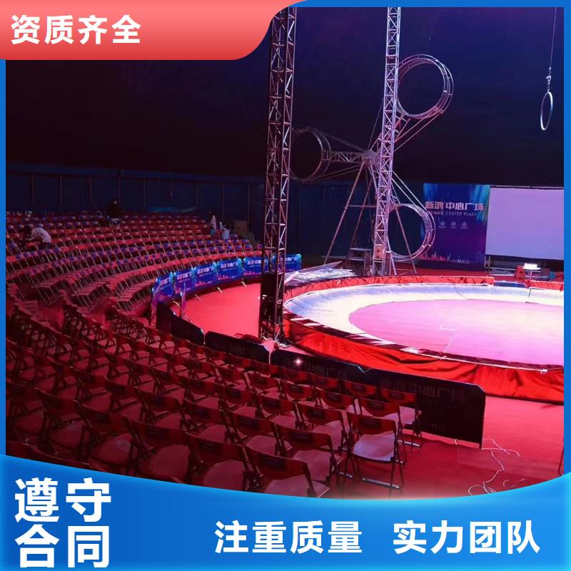 【马戏团/羊驼【活体羊驼租赁】多家服务案例】