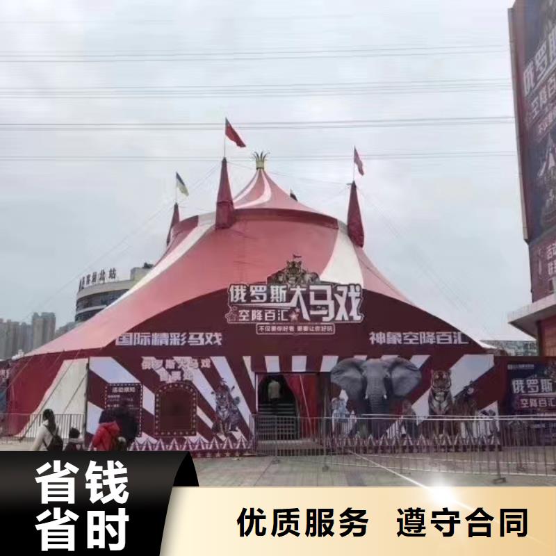 【马戏团/羊驼】海狮表演租赁口碑商家