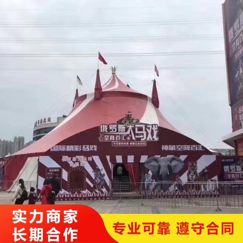 马戏团/羊驼出租表演海狮诚信放心