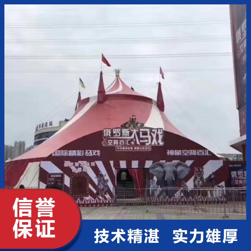 马戏团/羊驼 鹦鹉表演团队