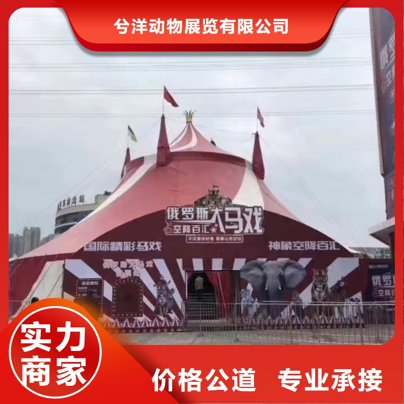 马戏团/羊驼出租表演企鹅快捷