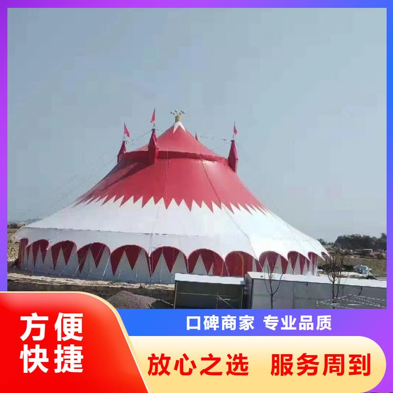 马戏团/羊驼出租表演企鹅口碑公司