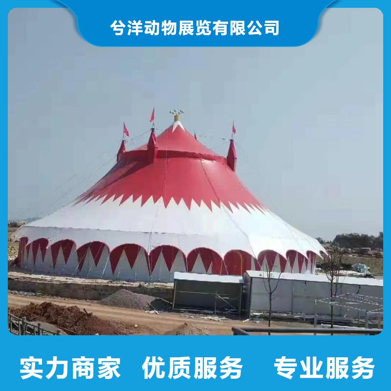 【马戏团/羊驼-海狮演出价格低于同行】