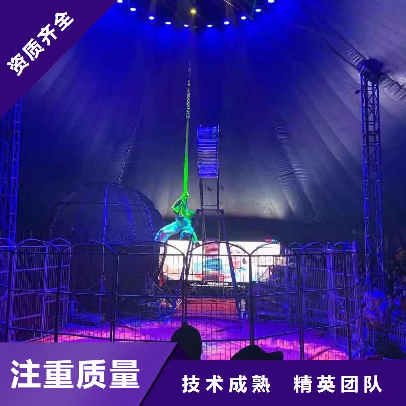马戏团/羊驼,海狮表演出租快捷