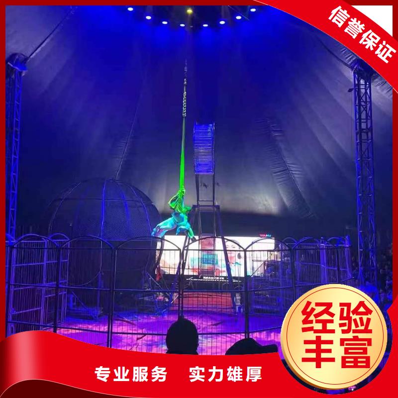 马戏团/羊驼马戏团表演出租租赁技术成熟