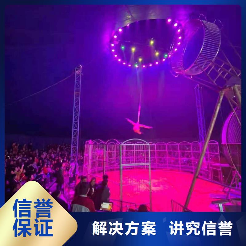 马戏团/羊驼美人鱼表演解决方案