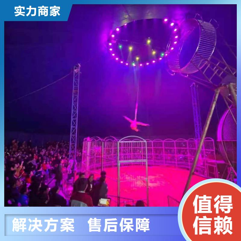 【马戏团/羊驼】_杂耍演出正规公司