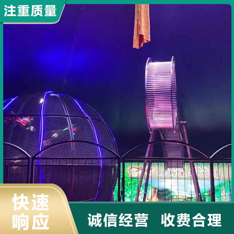 【马戏团/羊驼】海洋展租赁价格美丽