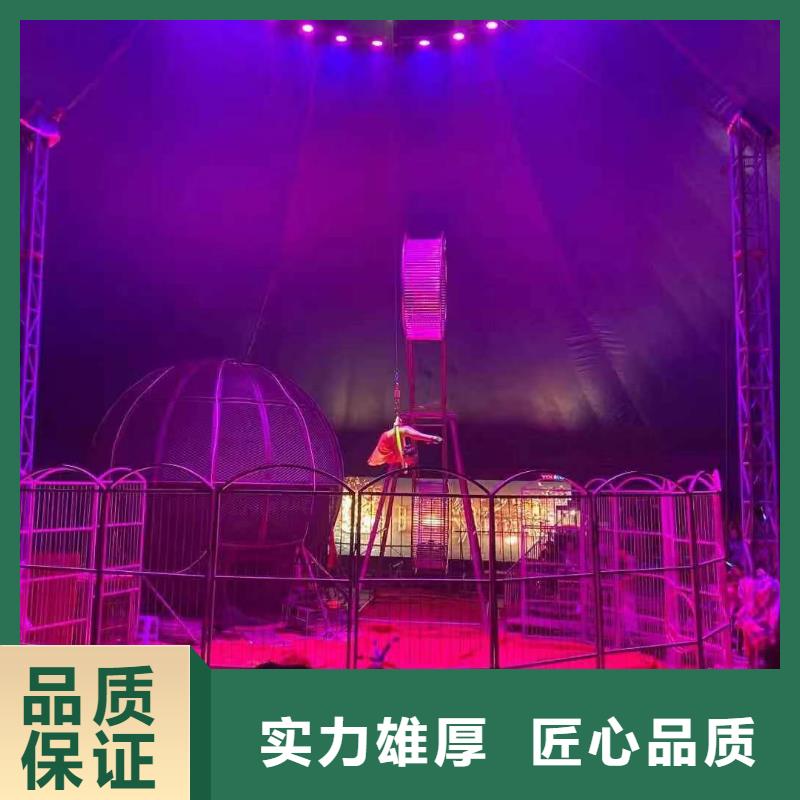 马戏团/羊驼小马戏出租行业口碑好
