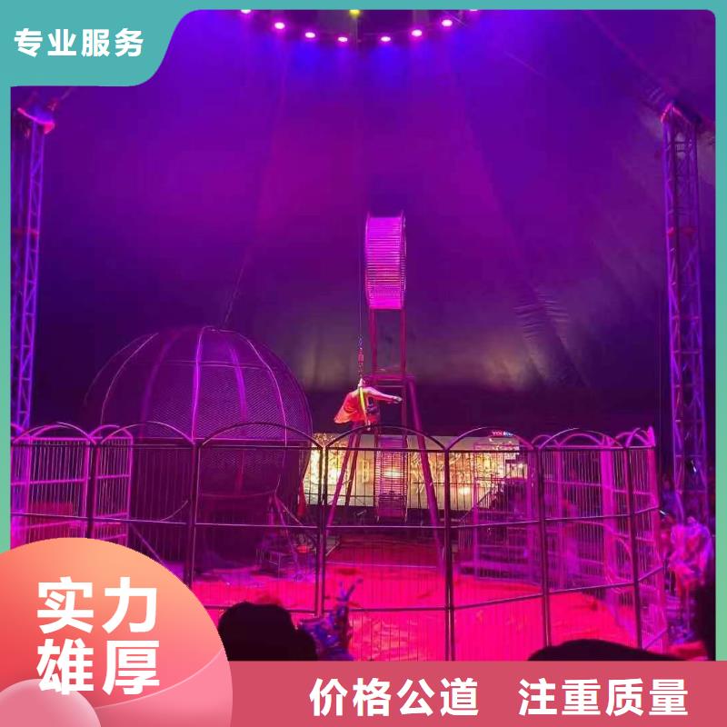 马戏团/羊驼,马戏表演售后保障
