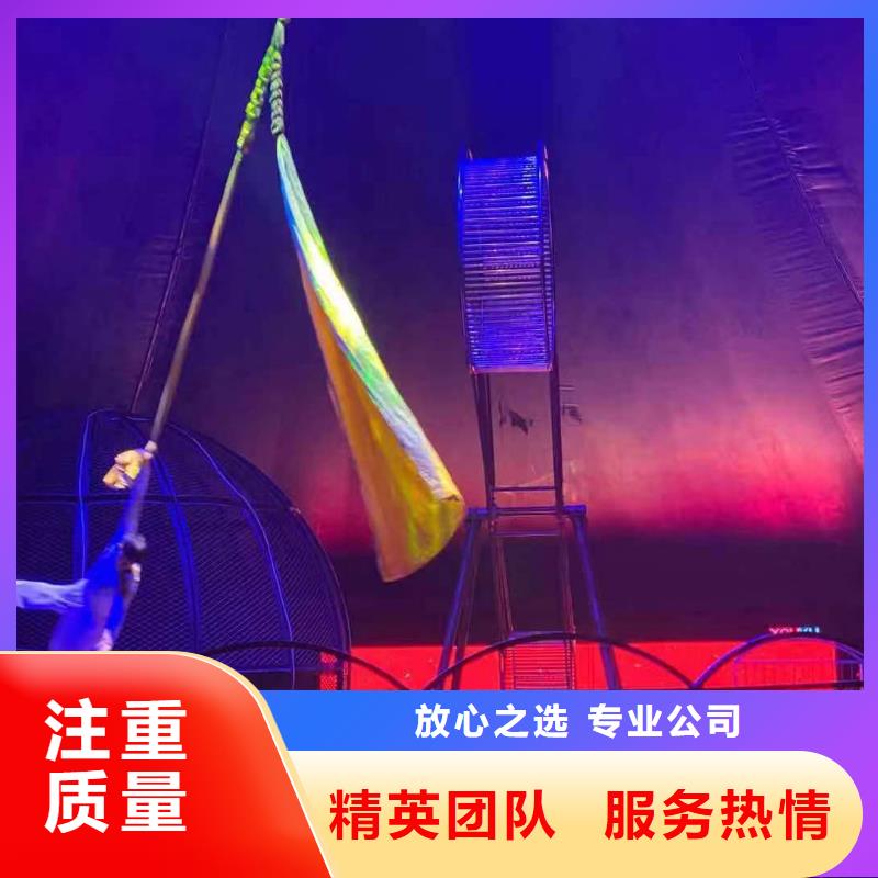 马戏团/羊驼 鹦鹉表演租赁实力商家