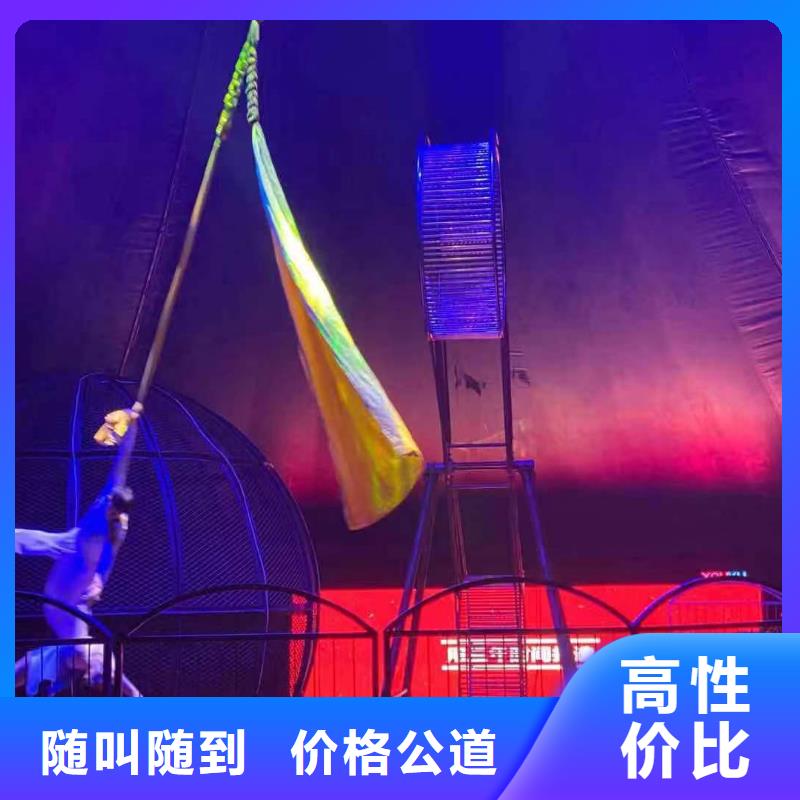 马戏团/羊驼_小香猪宠物出租实力团队