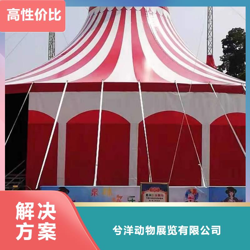 马戏团/羊驼出租企鹅质量保证