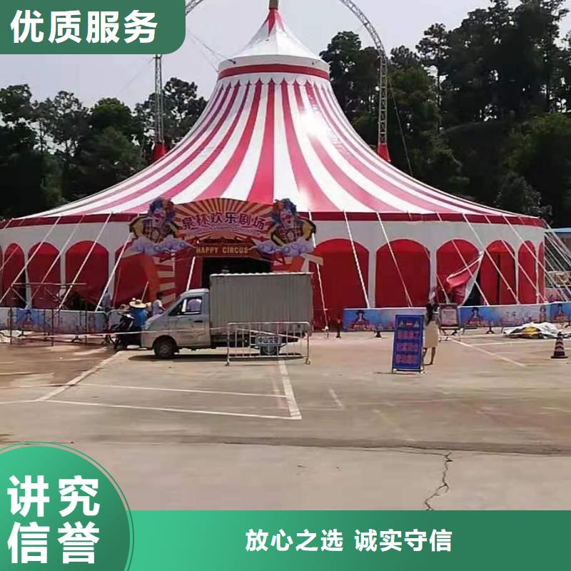 马戏团/羊驼 【企鹅表演出租】资质齐全