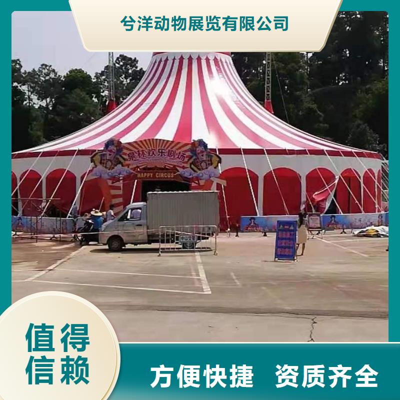 马戏团/羊驼萌宠动物展出租诚实守信