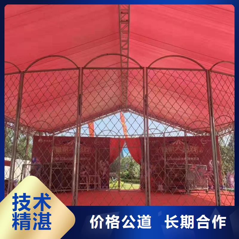 马戏团/羊驼,马戏团表演出租有实力