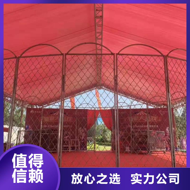 马戏团/羊驼动物杂技表演技术可靠