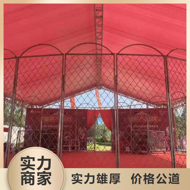 马戏团/羊驼企鹅出租好评度高