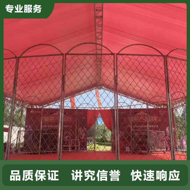 【马戏团/羊驼_【海狮租赁表演】信誉良好】