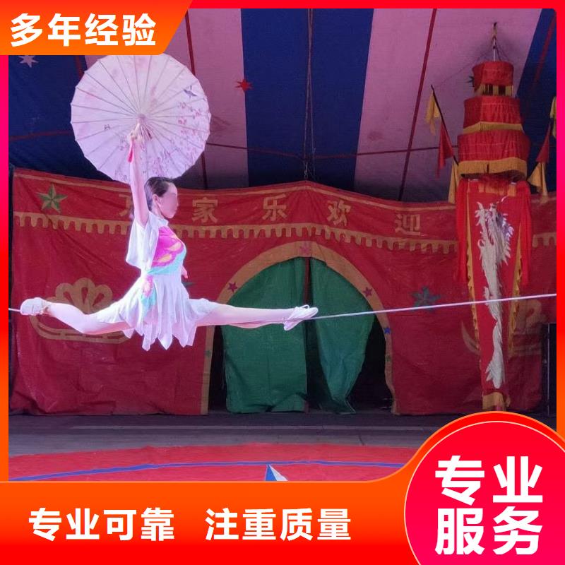 马戏团/羊驼_出租动物表演诚实守信