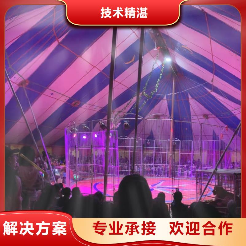 【马戏团/羊驼驯兽表演拒绝虚高价】