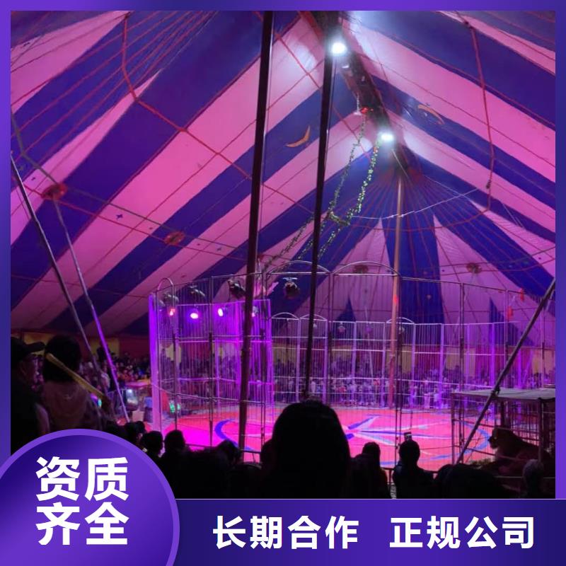 【马戏团/羊驼吉祥百鸟展售后保障】