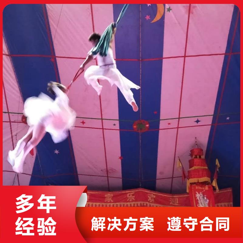 马戏团/羊驼马戏团出租 价格公道