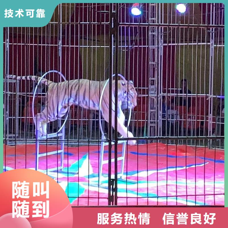 马戏团/羊驼【马戏团出租 】价格低于同行