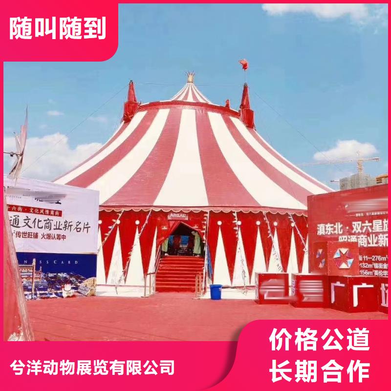 马戏团/羊驼动物表演出租2025公司精心