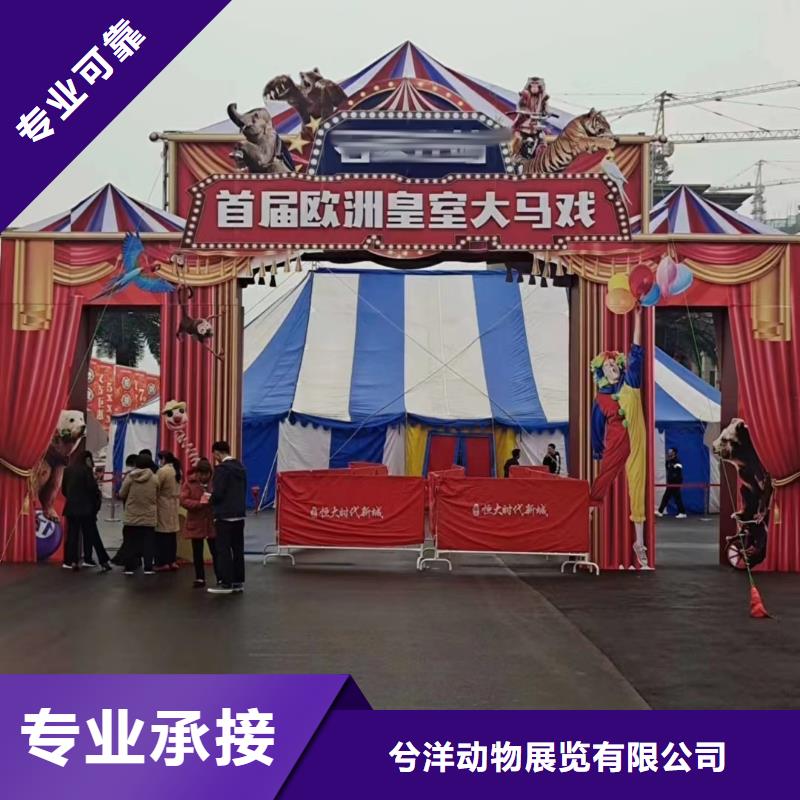 马戏团/羊驼_美人鱼表演2025公司