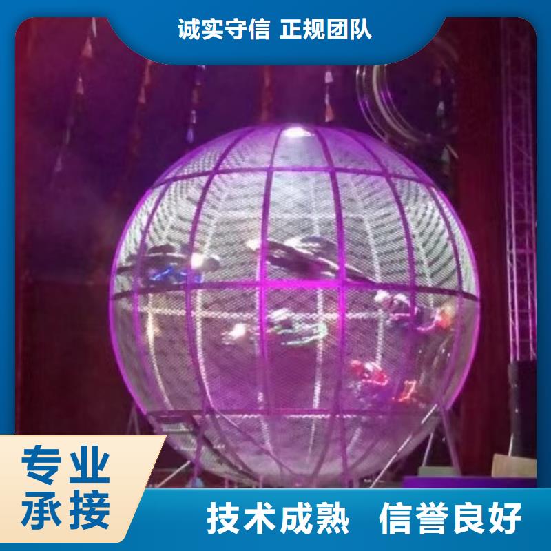 马戏团/羊驼_海洋展租赁正规公司