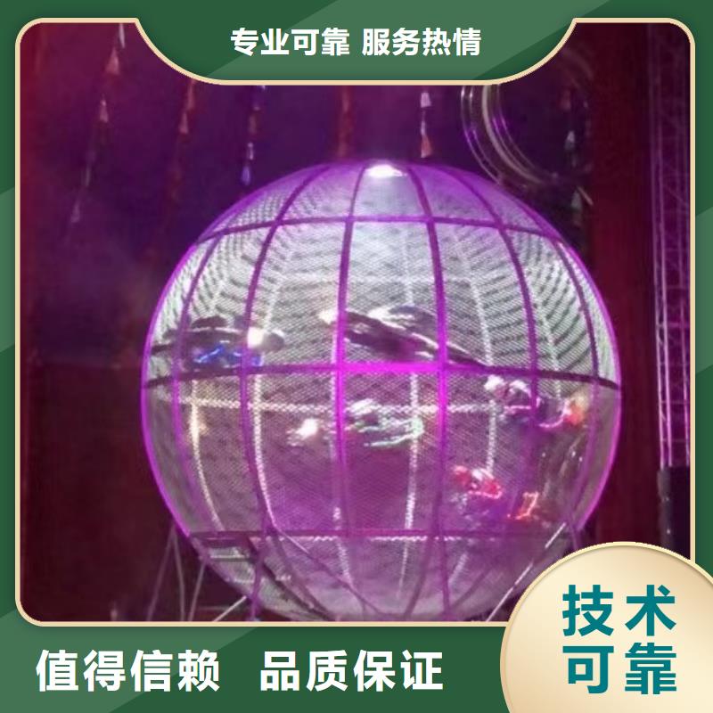 马戏团/羊驼_海狮表演出租质量保证