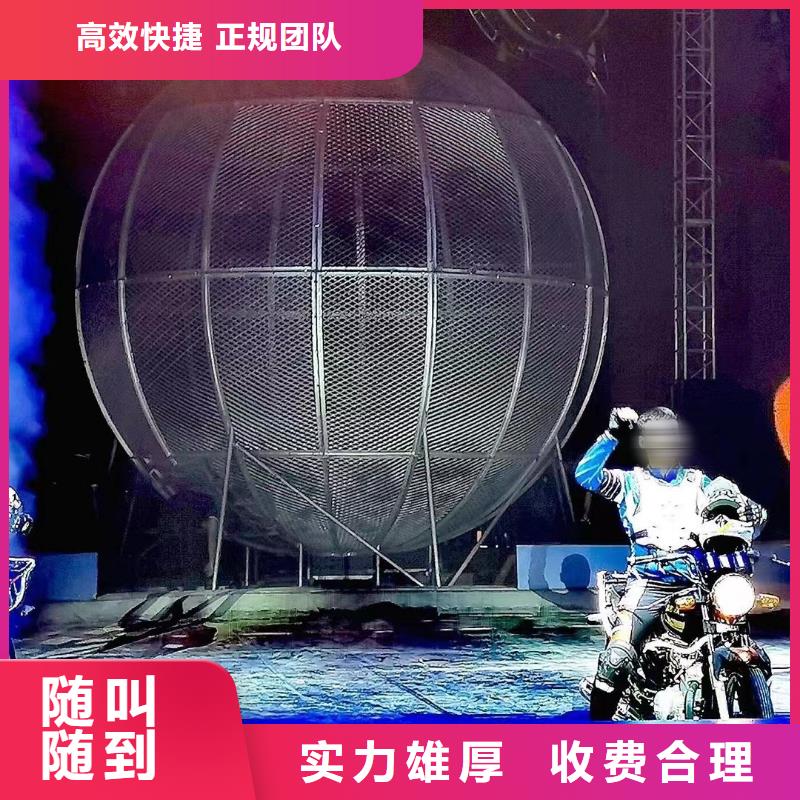 马戏团/羊驼_吉祥百鸟展从业经验丰富