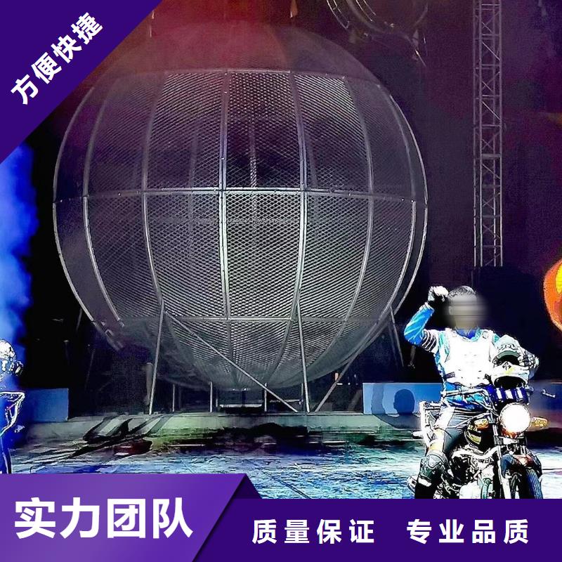 马戏团/羊驼_出租马戏团表演技术成熟