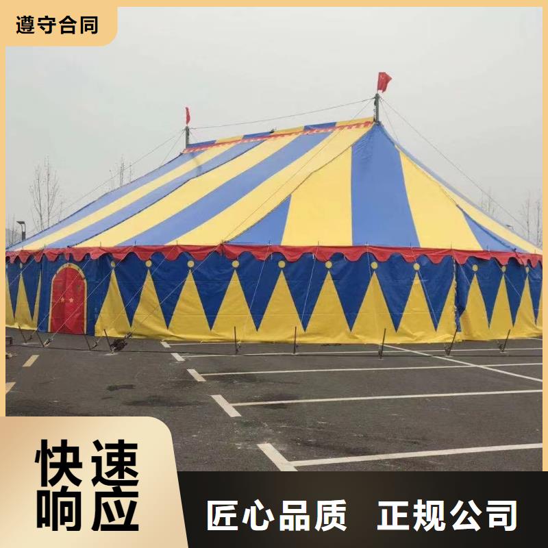 马戏团/羊驼动物表演租赁快速响应