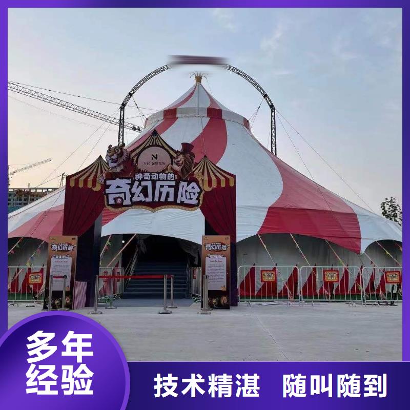 马戏团/羊驼,马戏表演售后保障