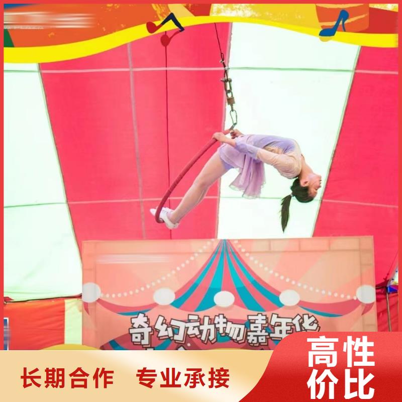 马戏团/羊驼动物表演口碑公司
